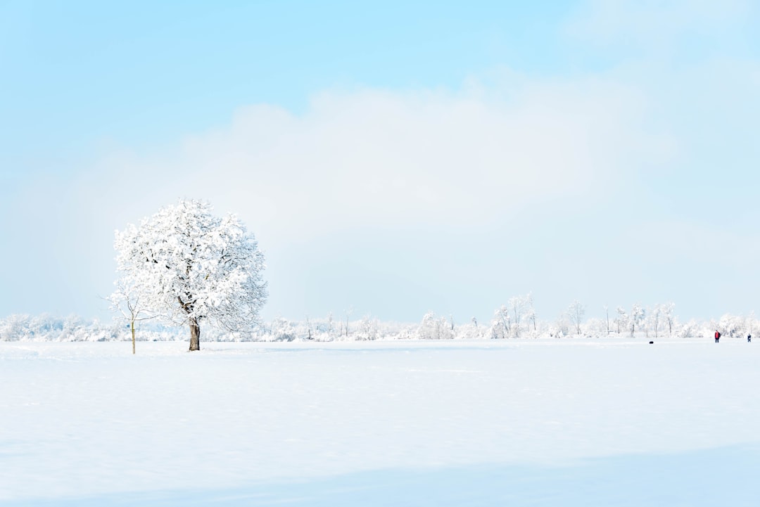 Duševné zdravie vo februári: Zvládanie zimnej depresie