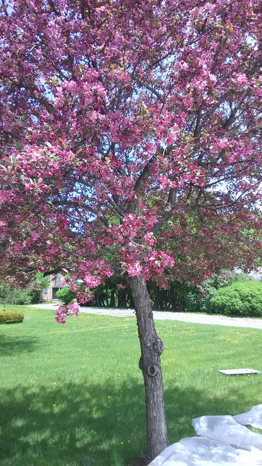 Typ krásy jar farby: Ako vybrať tie správne odtiene pre vašu pleť